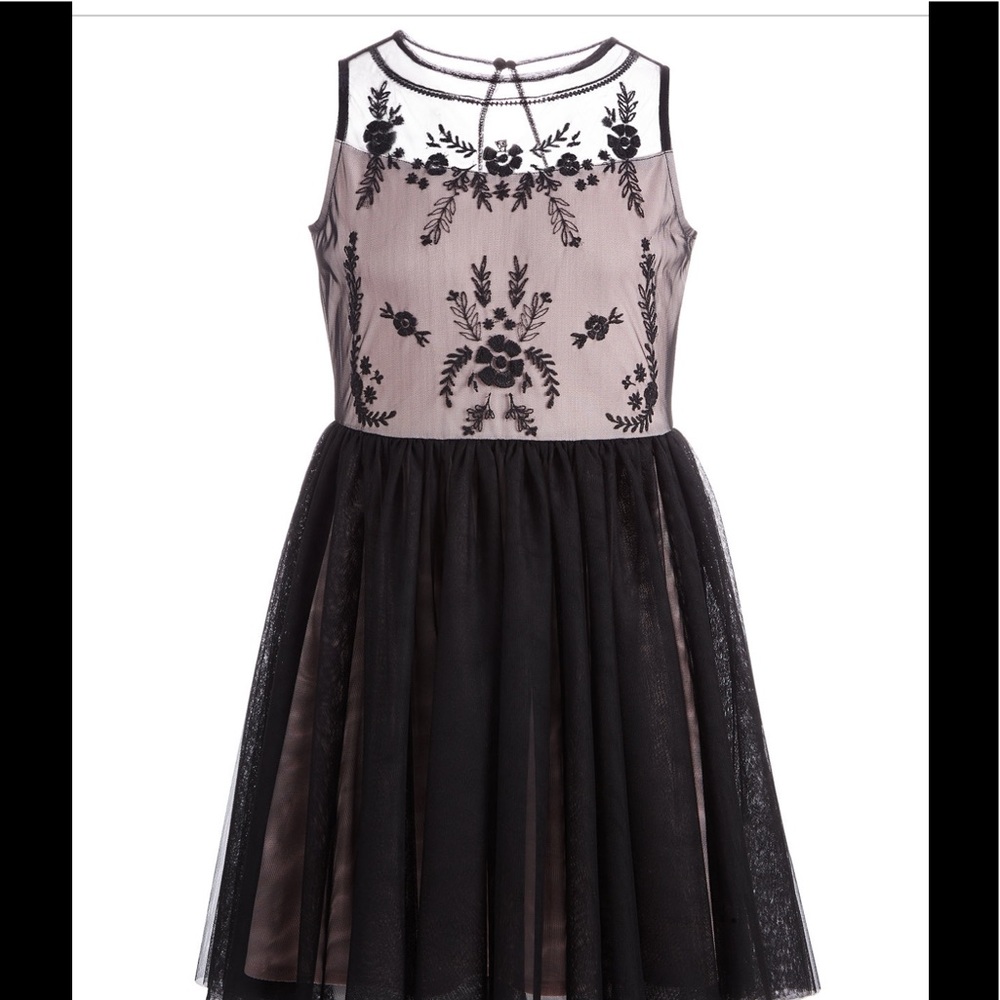 Big Girls embroidered tulle dress